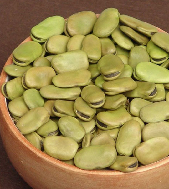 Broad Beans