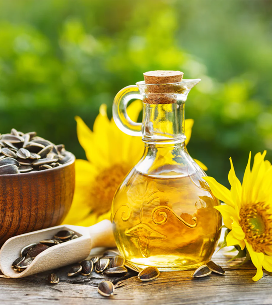 Sunflower Oil